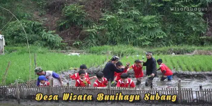 Desa Wisata Bunihayu Subang Jawa Barat