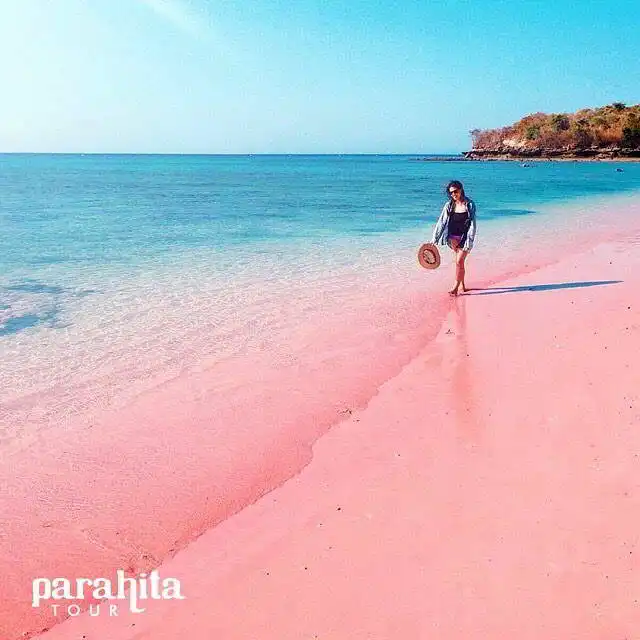 wisata-pantai-di-lombok-pantai-pink