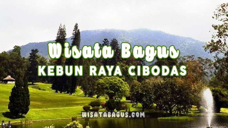 Kebun Raya Cibodas Ini 7 Spot Favorit Yang Wajib Anda