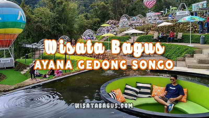 Ayana Gedong Songo Lokasi Transportasi Hotel Harga