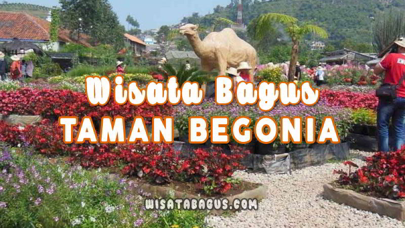 Taman Begonia Lembang Spot Foto Alamat Harga Tiket